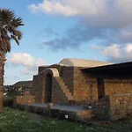 Il Vigneto *