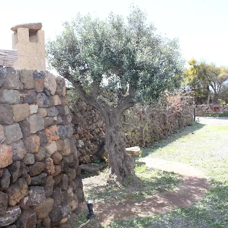 Daire Il Vigneto