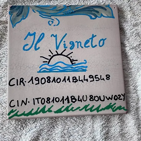 Il Vigneto